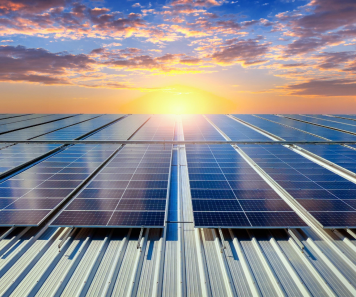 ��ɳ(3777��JS��֤)�鳡��-Macau Store